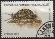 z vendido MADAGASCAR 1992 Scott 1128 Sello Moluscos Cypraea tigris matasellos de Favor Preobliterado  MALAGASY 500A Michel1422 
